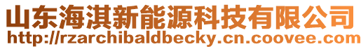 山東海淇新能源科技有限公司