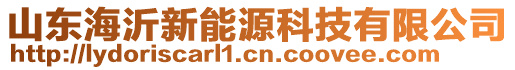 山東海沂新能源科技有限公司