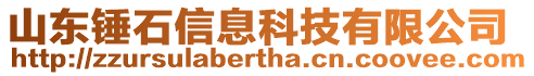 山東錘石信息科技有限公司