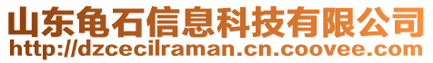 山東龜石信息科技有限公司