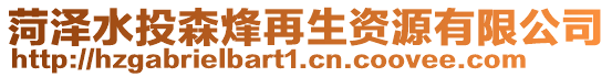 菏澤水投森烽再生資源有限公司