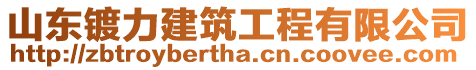 山東鍍力建筑工程有限公司