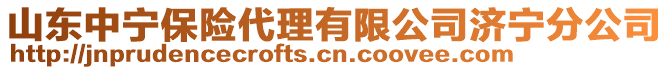 山東中寧保險(xiǎn)代理有限公司濟(jì)寧分公司