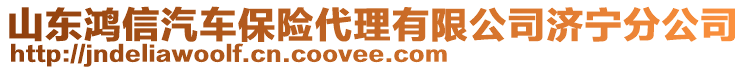 山東鴻信汽車保險(xiǎn)代理有限公司濟(jì)寧分公司