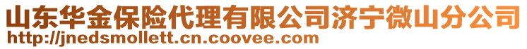 山東華金保險代理有限公司濟寧微山分公司