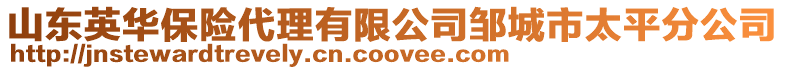 山東英華保險代理有限公司鄒城市太平分公司