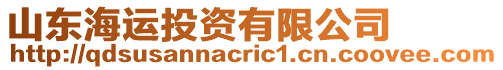 山東海運投資有限公司