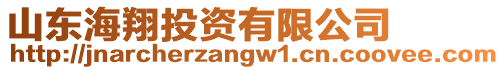 山東海翔投資有限公司
