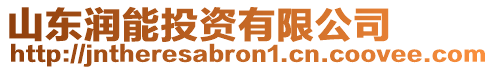 山東潤能投資有限公司