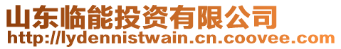 山東臨能投資有限公司