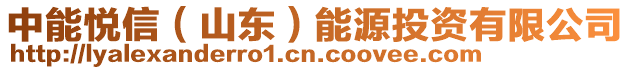中能悅信(山東)能源投資有限公司