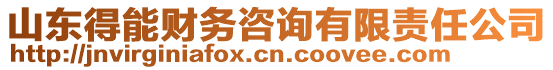 山東得能財務(wù)咨詢有限責(zé)任公司