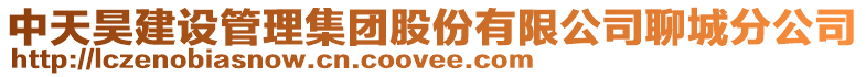 中天昊建設管理集團股份有限公司聊城分公司
