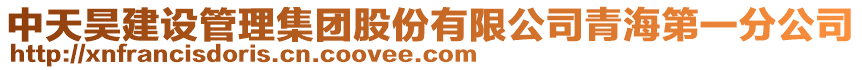 中天昊建設管理集團股份有限公司青海第一分公司