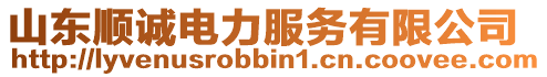 山東順誠電力服務(wù)有限公司