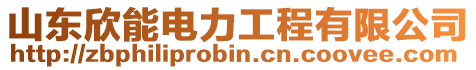 山東欣能電力工程有限公司