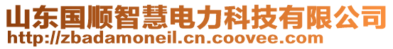 山東國順智慧電力科技有限公司
