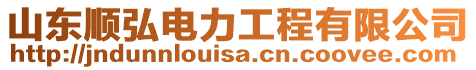 山東順弘電力工程有限公司