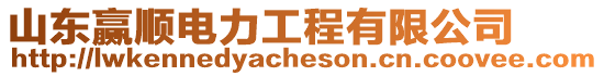 山東贏順電力工程有限公司