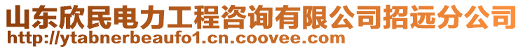 山東欣民電力工程咨詢有限公司招遠分公司