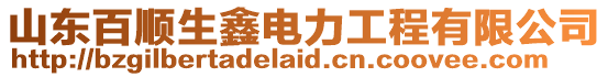 山東百順生鑫電力工程有限公司