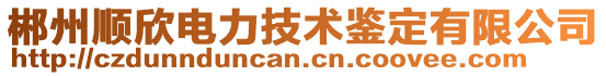 郴州順欣電力技術(shù)鑒定有限公司