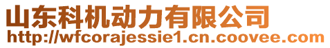 山東科機(jī)動力有限公司