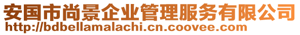 安國(guó)市尚景企業(yè)管理服務(wù)有限公司