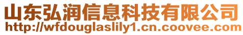 山東弘潤信息科技有限公司