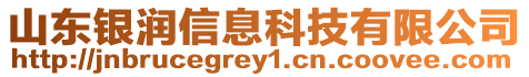 山东银润信息科技有限公司