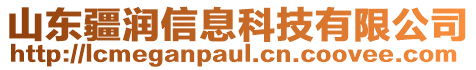 山東疆潤信息科技有限公司