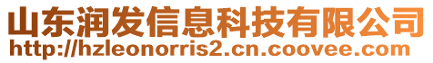 山東潤發(fā)信息科技有限公司