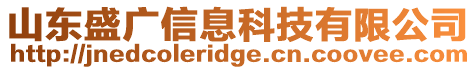 山東盛廣信息科技有限公司