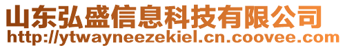 山東弘盛信息科技有限公司