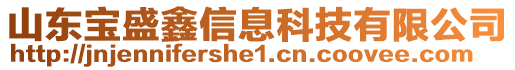 山東寶盛鑫信息科技有限公司