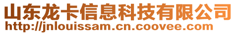 山東龍卡信息科技有限公司