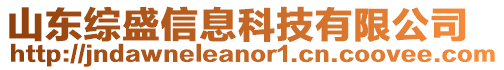 山東綜盛信息科技有限公司