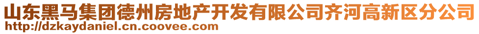 山東黑馬集團德州房地產(chǎn)開發(fā)有限公司齊河高新區(qū)分公司