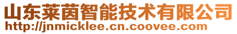 山東萊茵智能技術有限公司