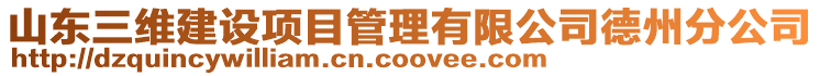 山東三維建設項目管理有限公司德州分公司