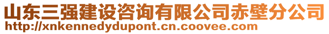 山東三強建設咨詢有限公司赤壁分公司