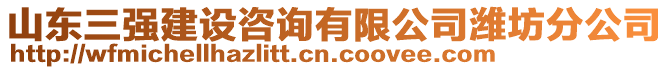 山東三強(qiáng)建設(shè)咨詢(xún)有限公司濰坊分公司