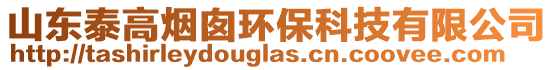 山東泰高煙囪環(huán)保科技有限公司