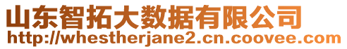 山東智拓大數(shù)據(jù)有限公司