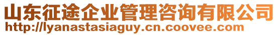 山東征途企業(yè)管理咨詢有限公司