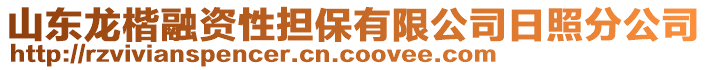 山東龍楷融資性擔(dān)保有限公司日照分公司