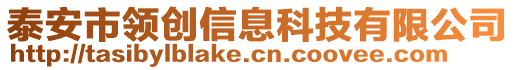 泰安市領(lǐng)創(chuàng)信息科技有限公司