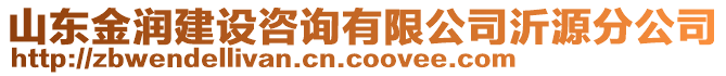 山東金潤建設(shè)咨詢有限公司沂源分公司