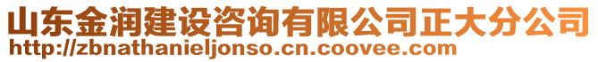 山東金潤建設(shè)咨詢有限公司正大分公司