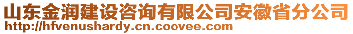 山東金潤建設(shè)咨詢有限公司安徽省分公司